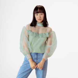 Ruffled Blouse With Sheer Puff Sleeves